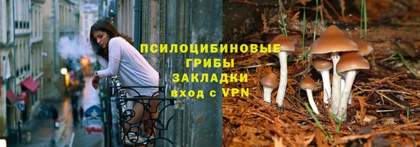 шишки Алексин
