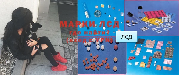 шишки Алексин