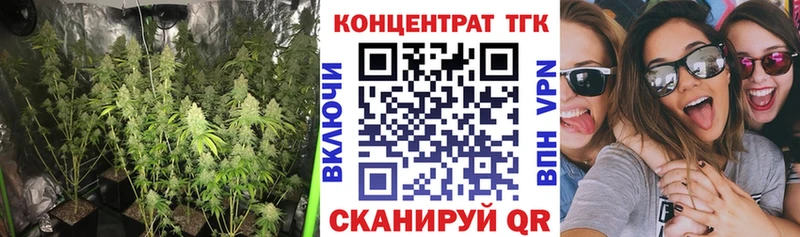 kraken вход  магазин  наркотиков  Бакал  ТГК концентрат 