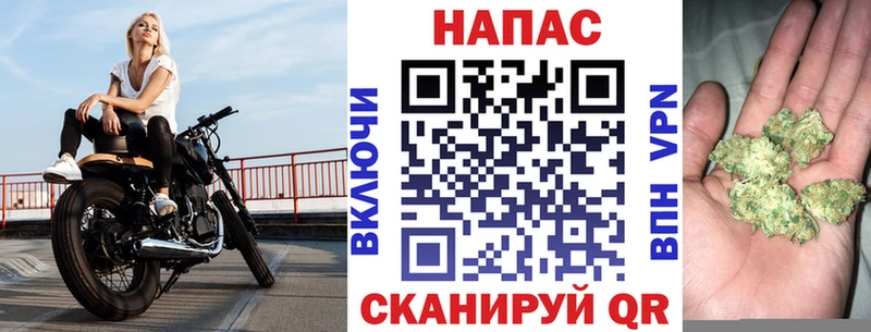 Конопля план  Бакал 